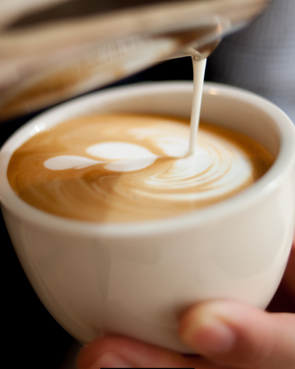 Chobani Peppermint Mocha Creamer